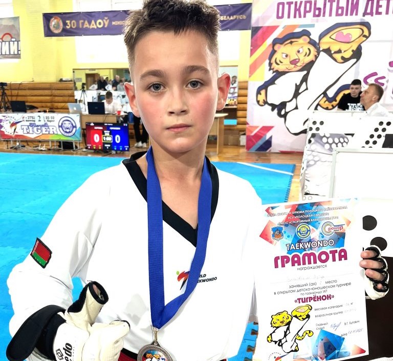 тема 10 таэквондо тигренок