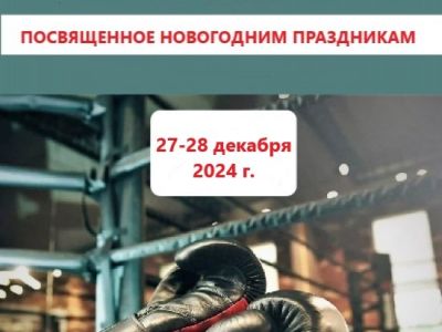 ПЕРВЕНСТВО ГОРОДА ВИТЕБСКА ПО БОКСУ, ПОСВЯЩЕННОЕ НОВОГОДНИМ ПРАЗДНИКАМ (27-28.12.2024)