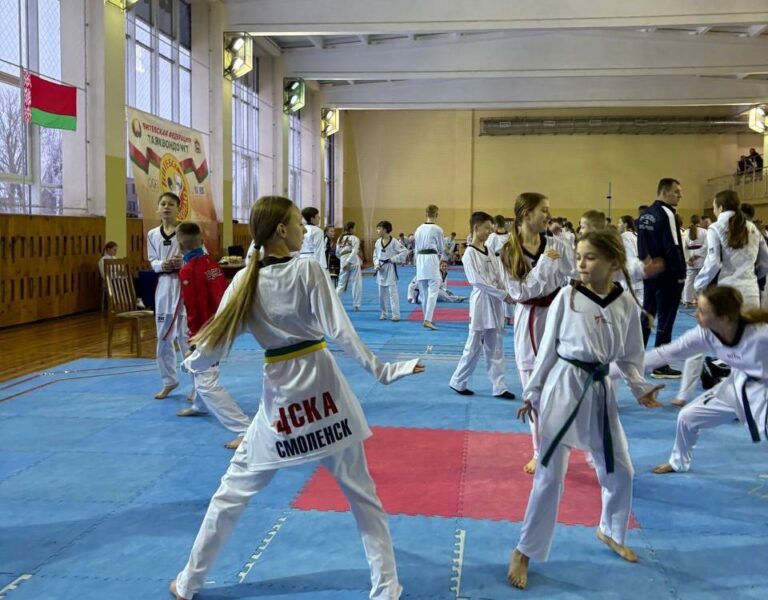 УЧАСТИЕ В РЕСПУБЛИКАНСКОМ ТУРНИРЕ ПО ТАЭКВОНДО, ПОСВЯЩЕННОМ ДНЮ ЗАЩИТНИКА ОТЕЧЕСТВА, г. Витебск /14-15.02.2026/